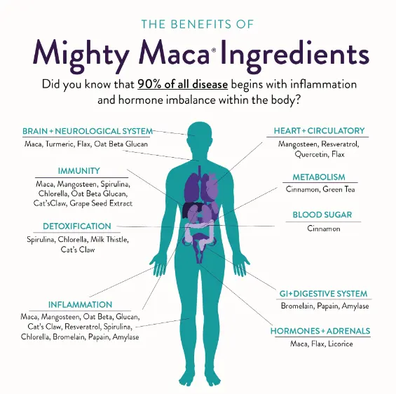 High Pure Natural Health Maca - Image 4